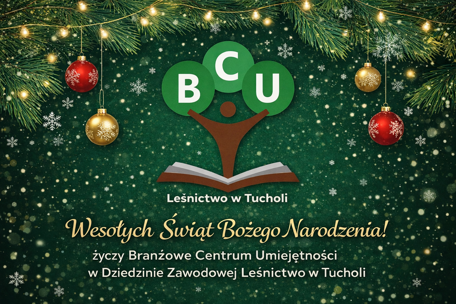 Wesołych Świąt Bożego narodzenia!